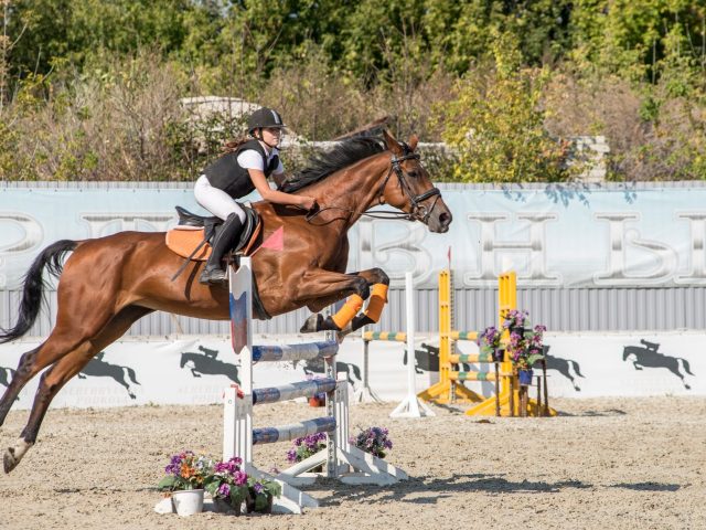 Comment progresser dans votre performance de saut vertical ?