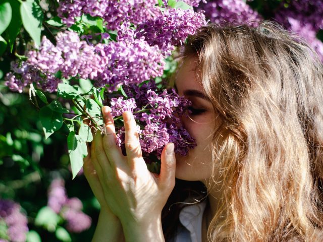 Comment se préparer aux allergies de printemps ?