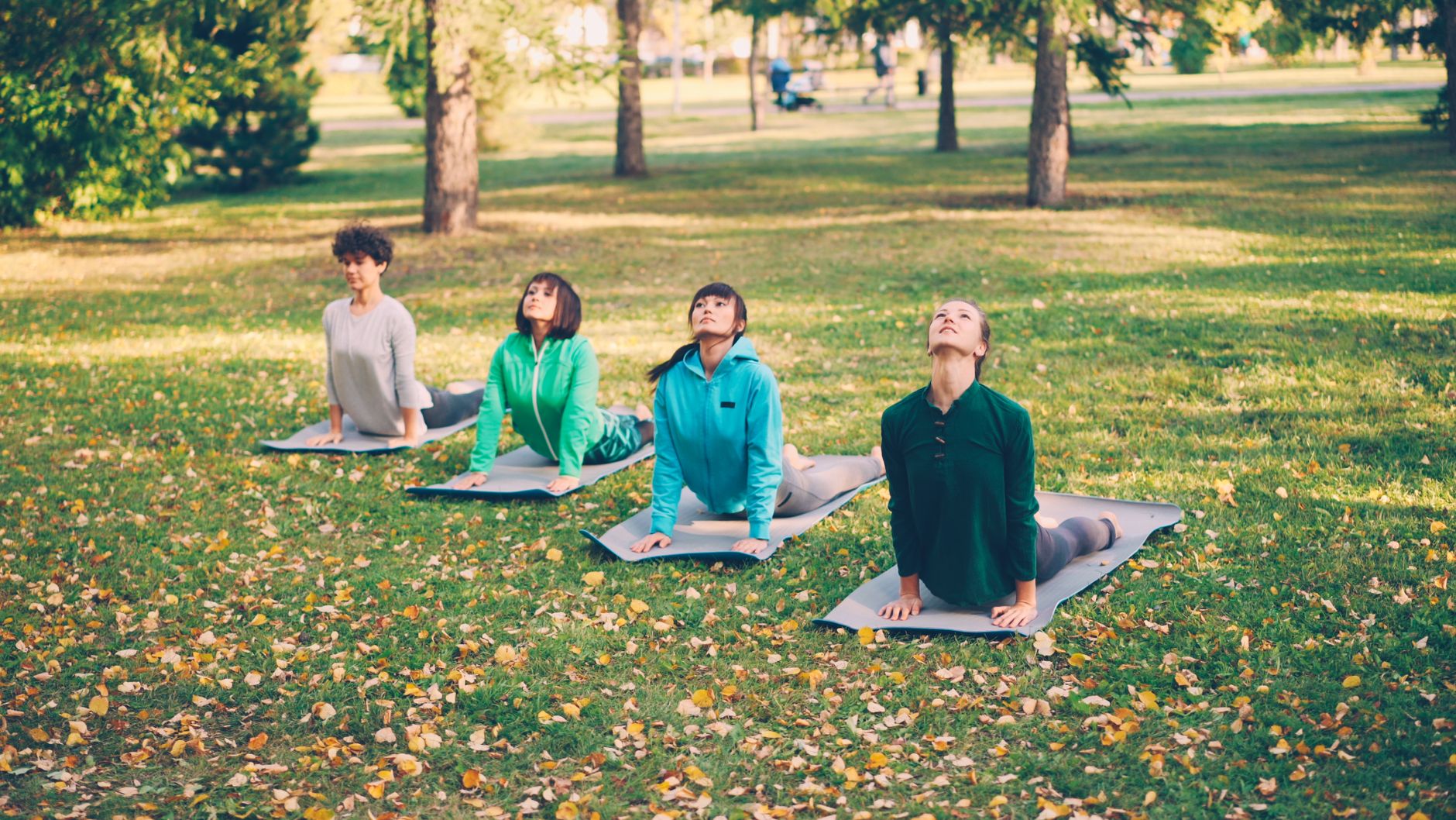 Exercices excentriques pour prévenir les blessures du sauteur